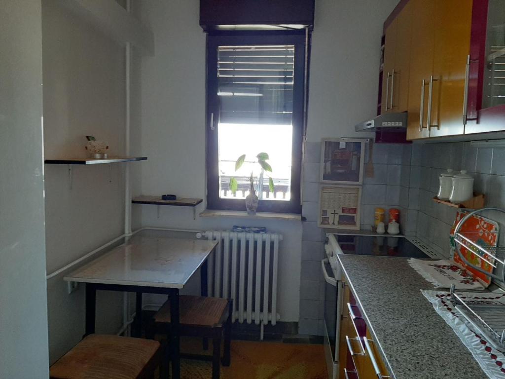Kuchyň nebo kuchyňský kout v ubytování Apartman Sofka