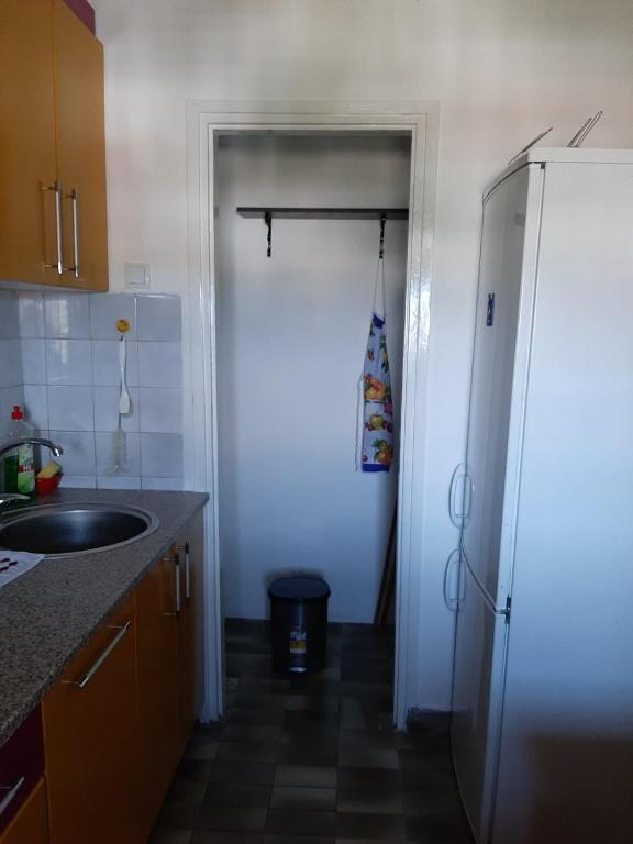 Kuchyň nebo kuchyňský kout v ubytování Apartman Sofka