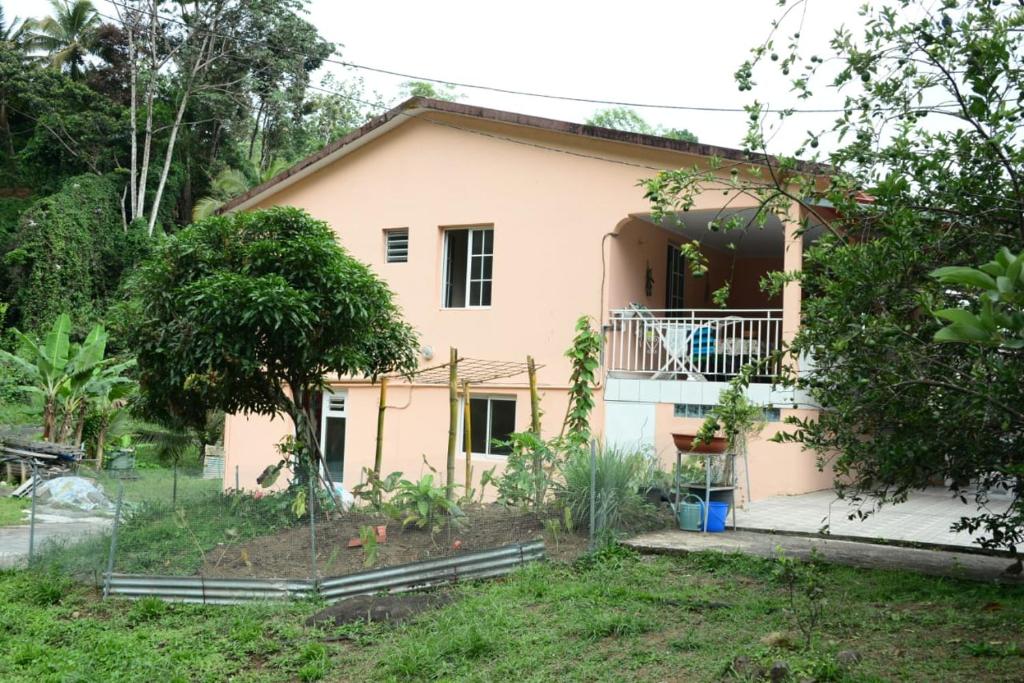 Zahrada ubytování Maison LAVANNE