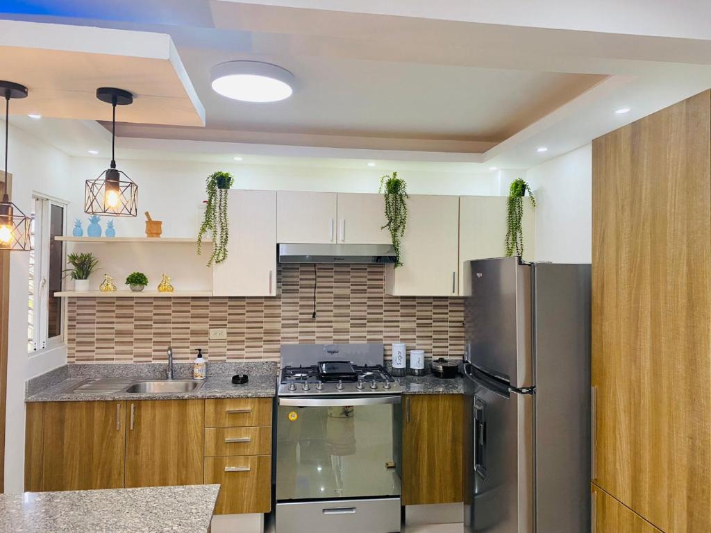 een keuken met een roestvrijstalen koelkast en houten kasten bij Confortable y lujoso apartamento en santiago in Santiago de los Caballeros