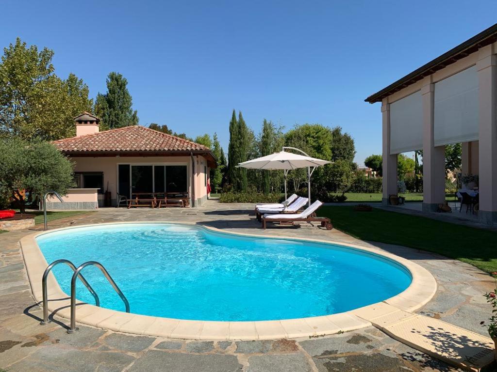een zwembad met een patio en een parasol bij B&B RED WINE COUNTRY HOUSE in Castel San Pietro Terme