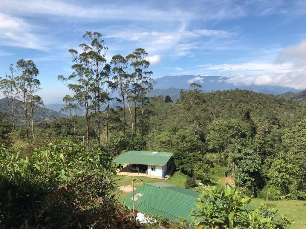 卡利Reserva Natural El Porvenir的森林中带绿色屋顶的小房子