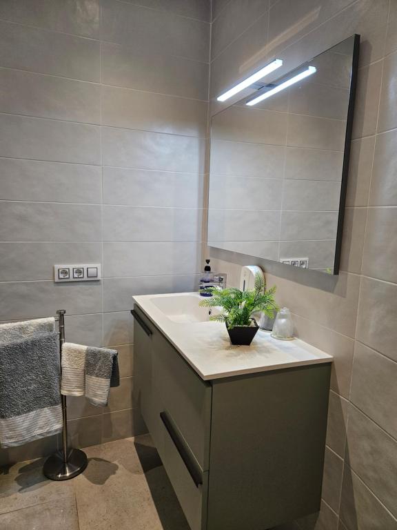Koupelna v ubytování Loft17