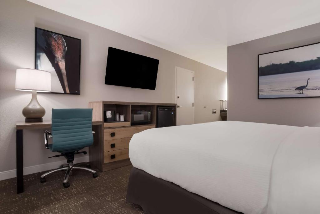 Best Western Flagship Inn - King Room Met Bankbed