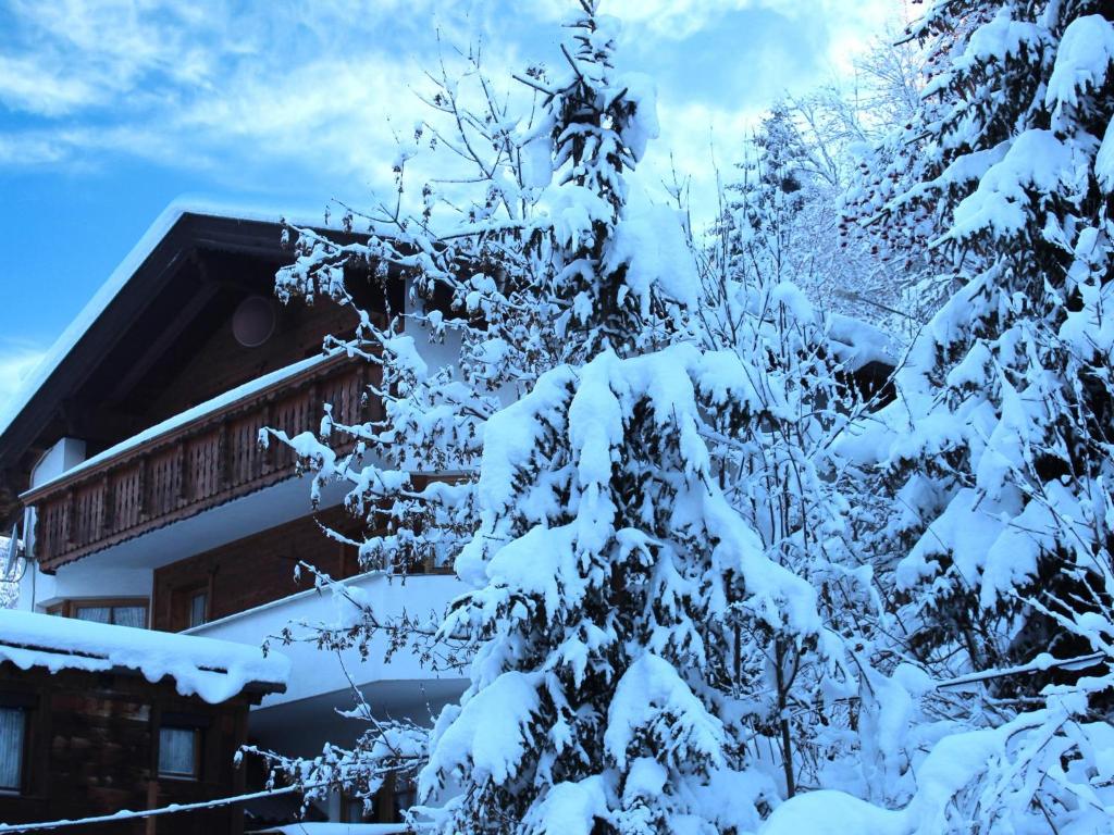 a snow covered tree in front of a house at Ferienhaus Dias in Kappl