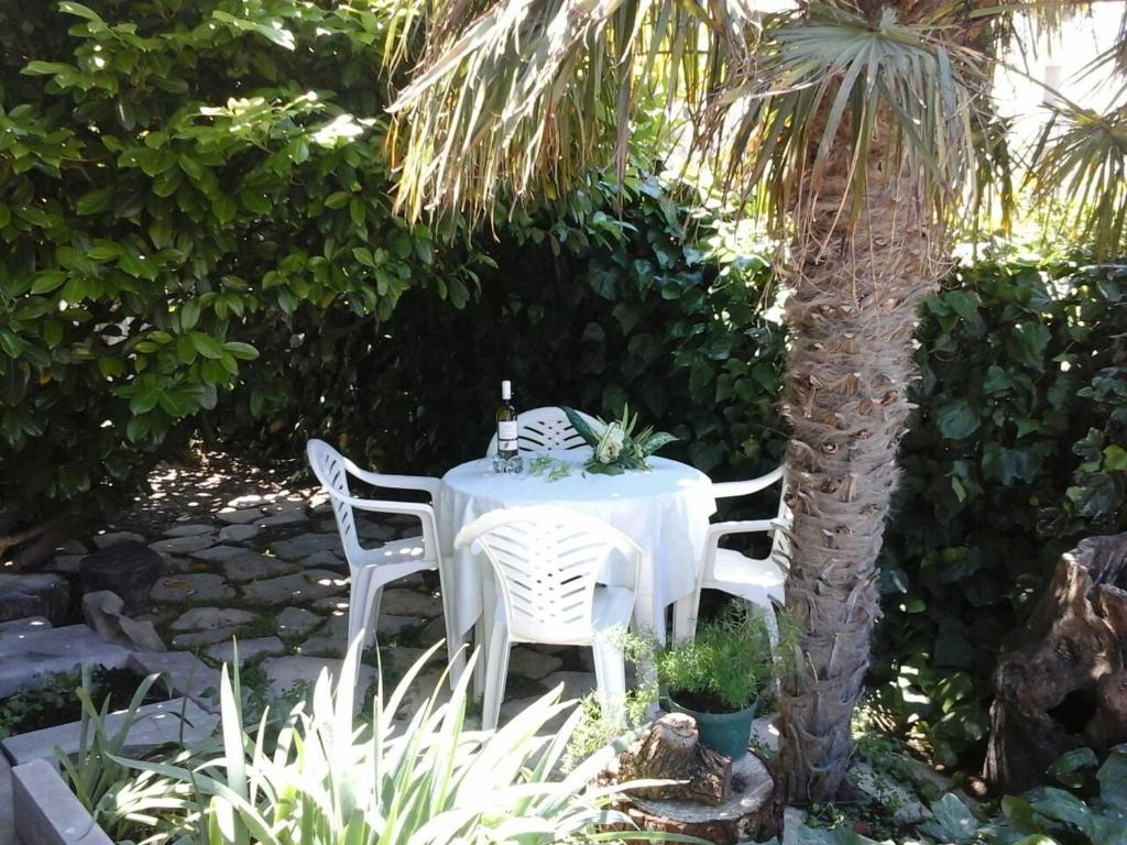 ein Tisch mit einer Flasche Wein auf dem Tisch neben einer Palme in der Unterkunft Apartment Ančica in Split