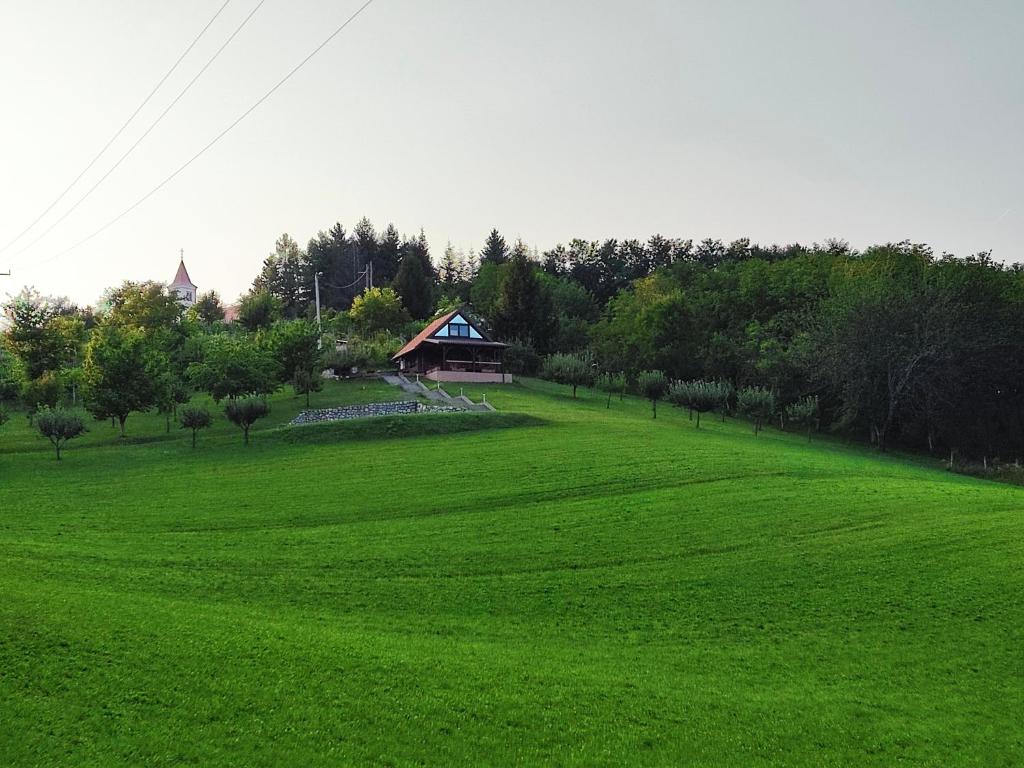 a large green field with a house in the distance at Holiday house Panorama in Ozalj