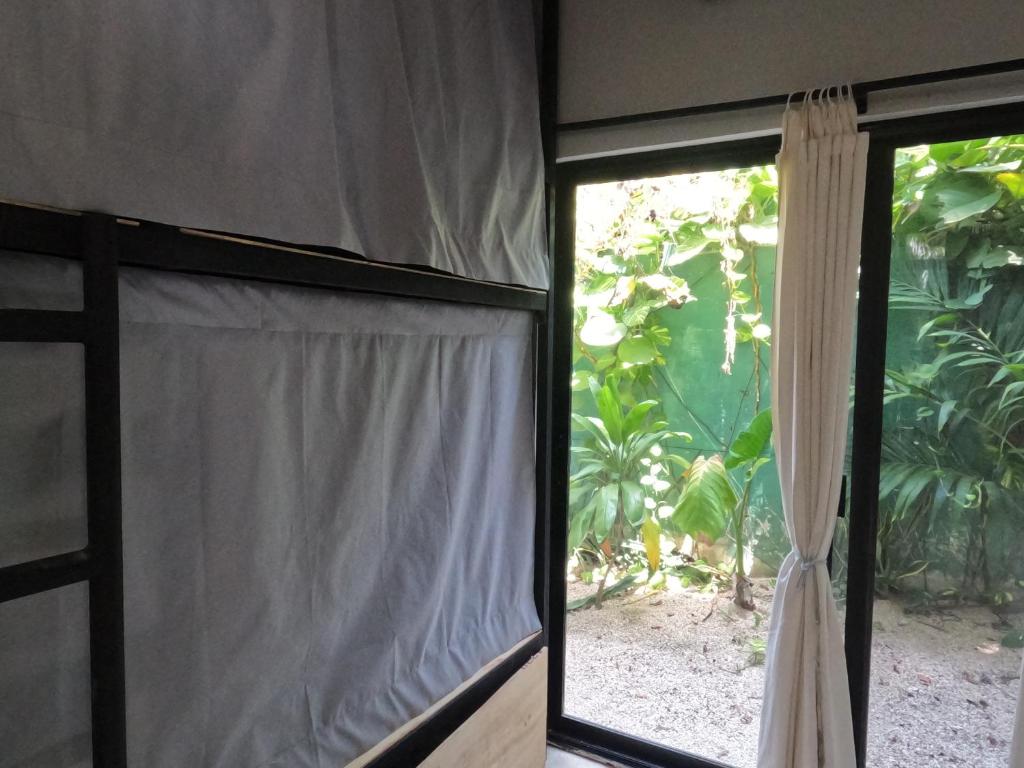 Zahrada ubytování Maui Hostels Tulum