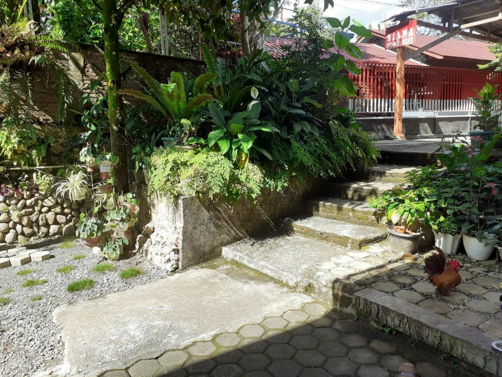 Riana's Homestay - 6