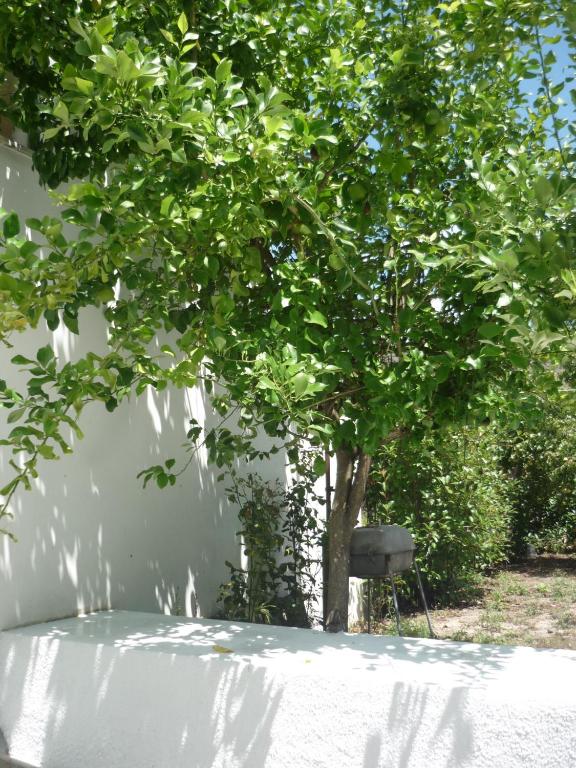 Casa da Terra - House A Tre Camere Da Letto