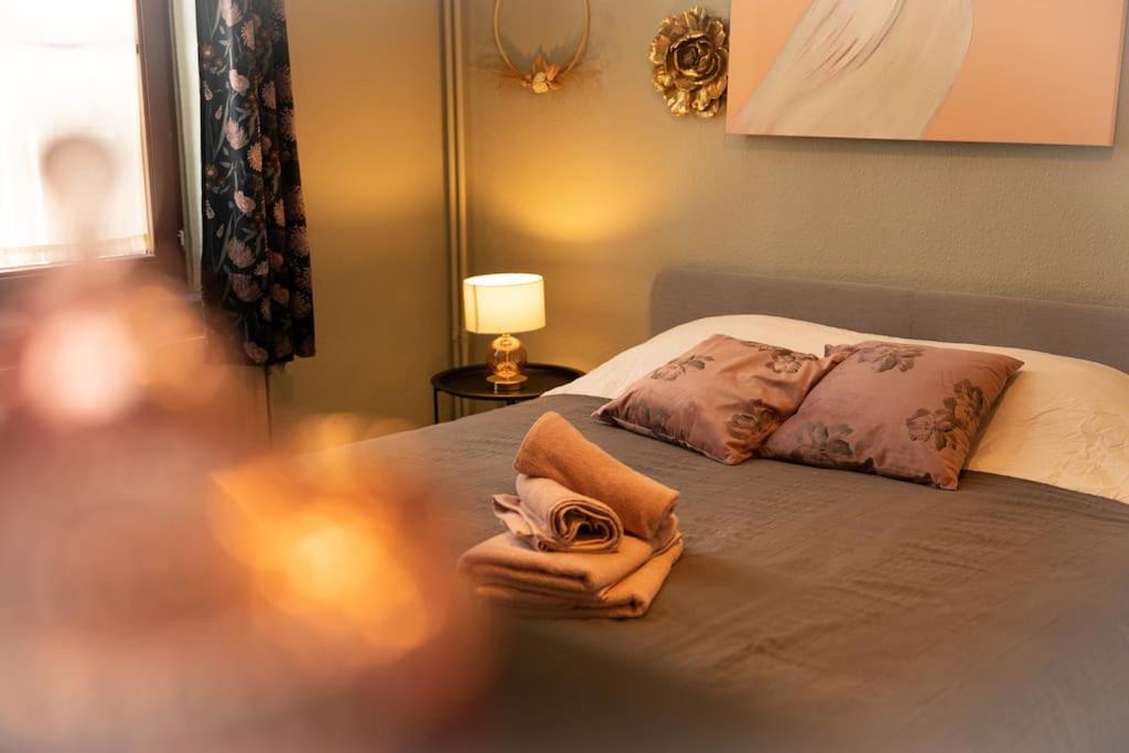 a bedroom with a bed with two pillows and a lamp at Camelia, un charme Montois in Mons