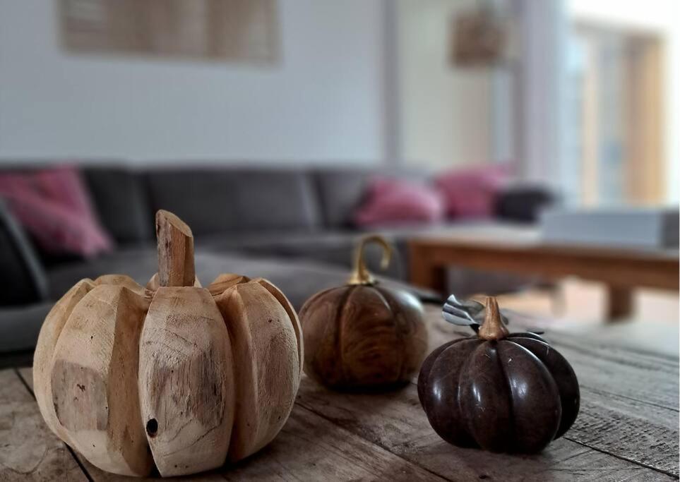 Posezení v ubytování Maison Patisson