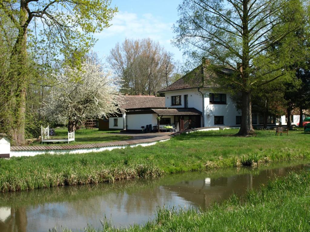 a house with a river in front of it at Ferienwohnung Duschka "Direkt am Fließ" in Kolonie