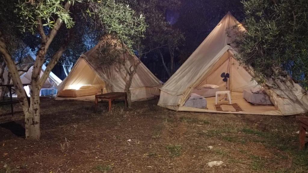 Zahrada ubytování Garden Lake Camping