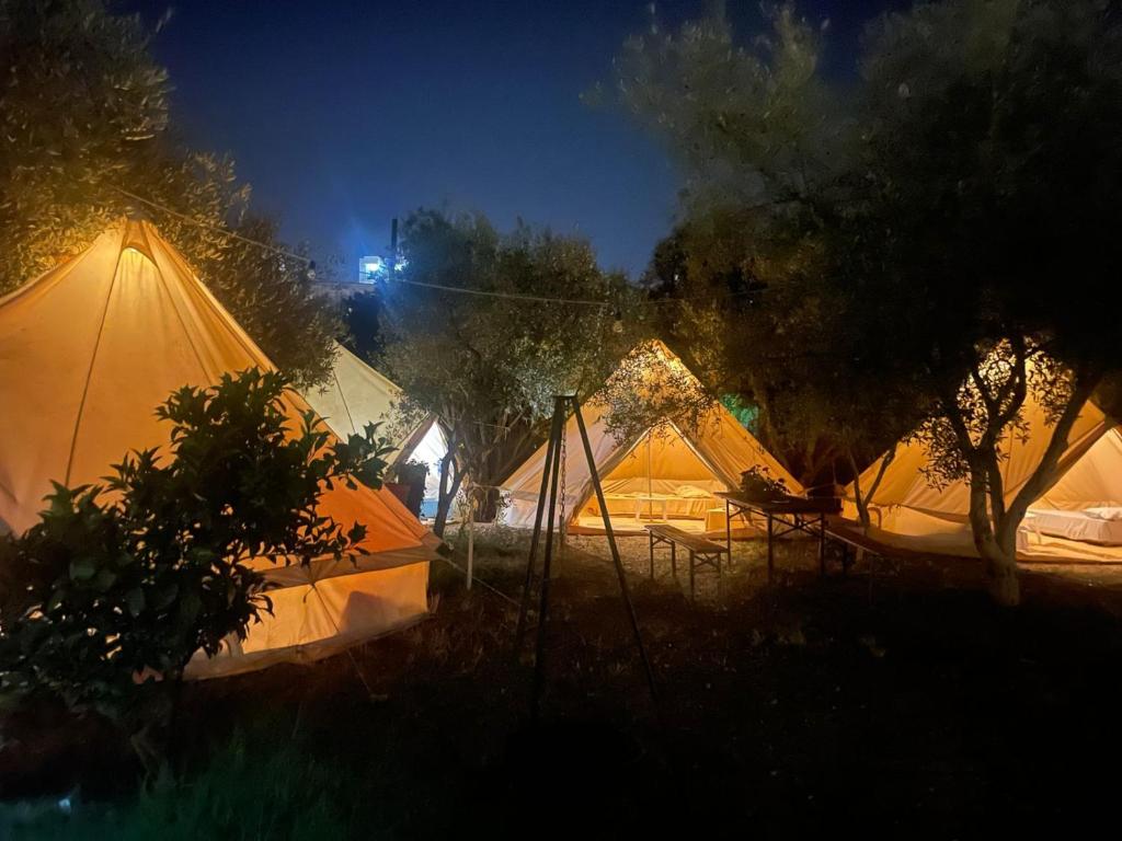 Fotografie z fotogalerie ubytování Garden Lake Camping v destinaci Ksamil