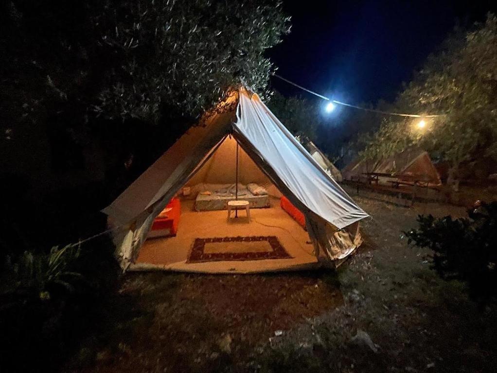 Garden Lake Camping - Image 8