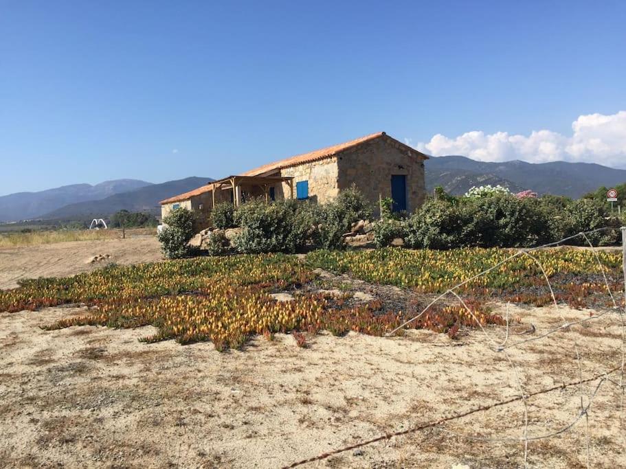 an old house in the middle of a field at Golfe de Sagone Plage du Liamone Maison pieds dans l'eau in Casaglione