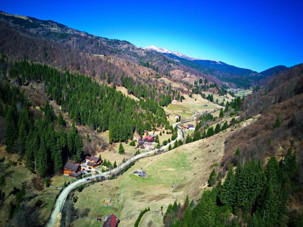 - une vue aérienne sur une vallée dans les montagnes dans l'établissement Cabanuta Ancutei, à Rucăr