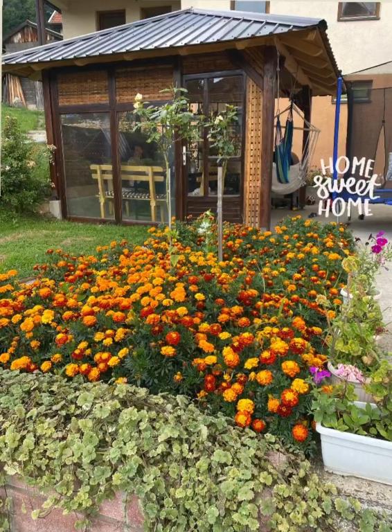 a bed of flowers in front of a store at Guest House Visoko in Visoko