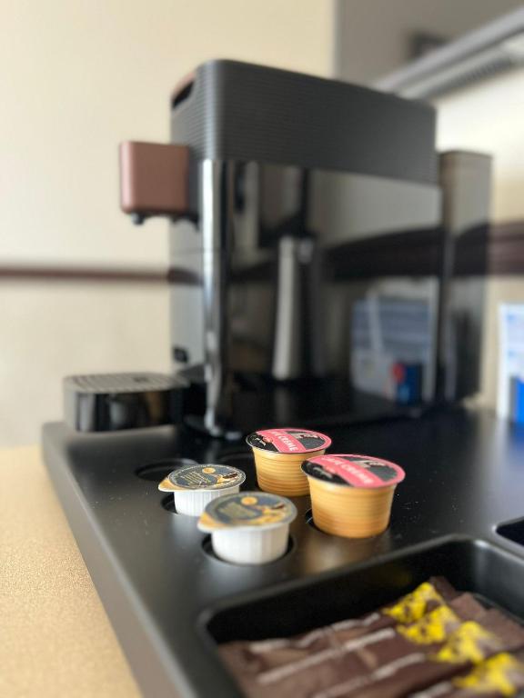 Toyoko Inn Frankfurt am Main Hauptbahnhof - Resim 29