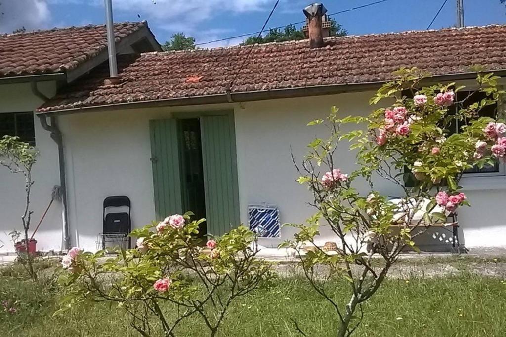 a white house with a green door and pink roses at Petite maison de pays in Hourtin