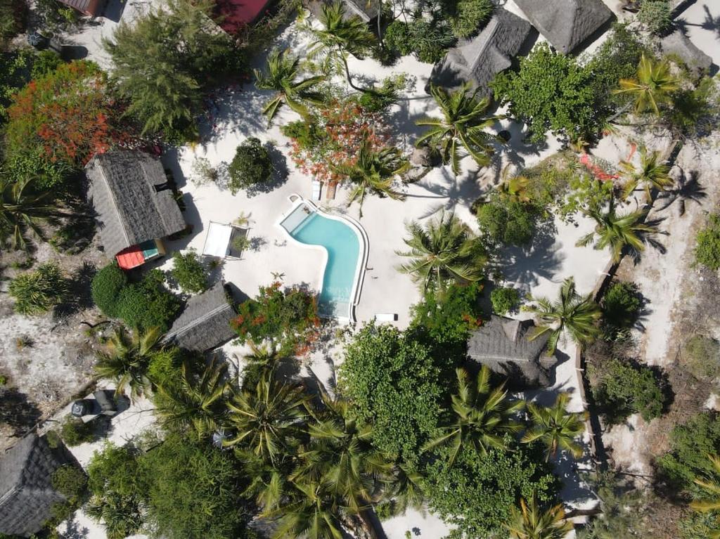 an overhead view of a swimming pool with palm trees at Michamvi Spirit Lodge in Michamvi