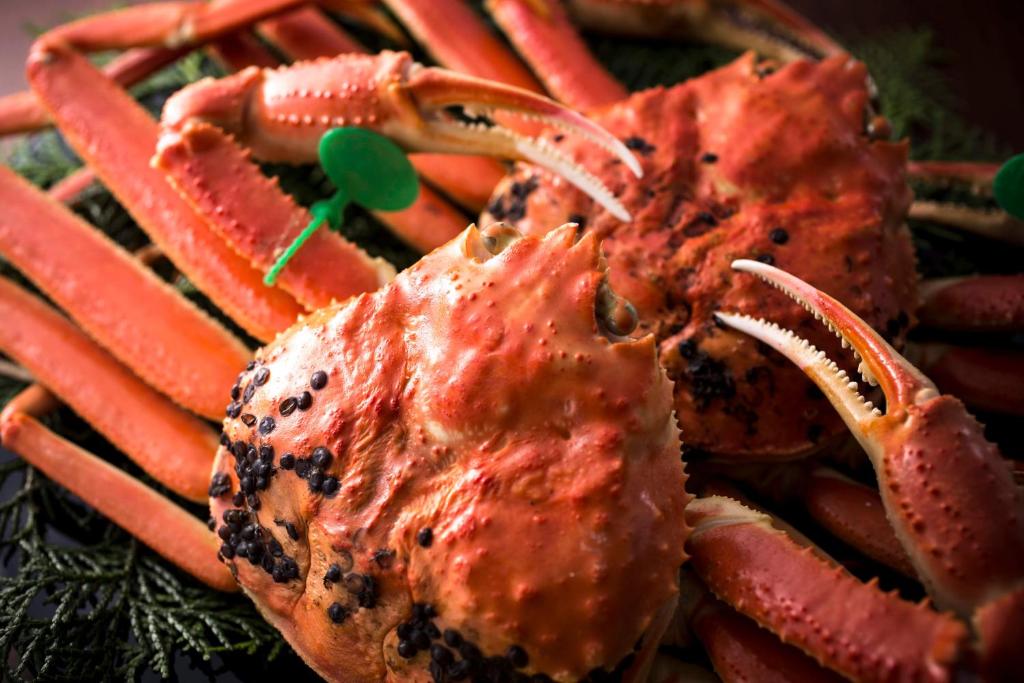 Vergrößerte Ansicht