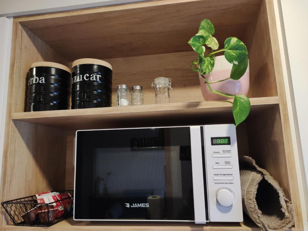a microwave oven with a potted plant on a shelf at Apartamento centrico in Minas