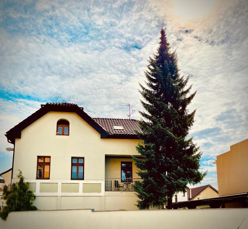 a house with a christmas tree in front of it at Apartmán U SMRKU in Dvůr Králové nad Labem