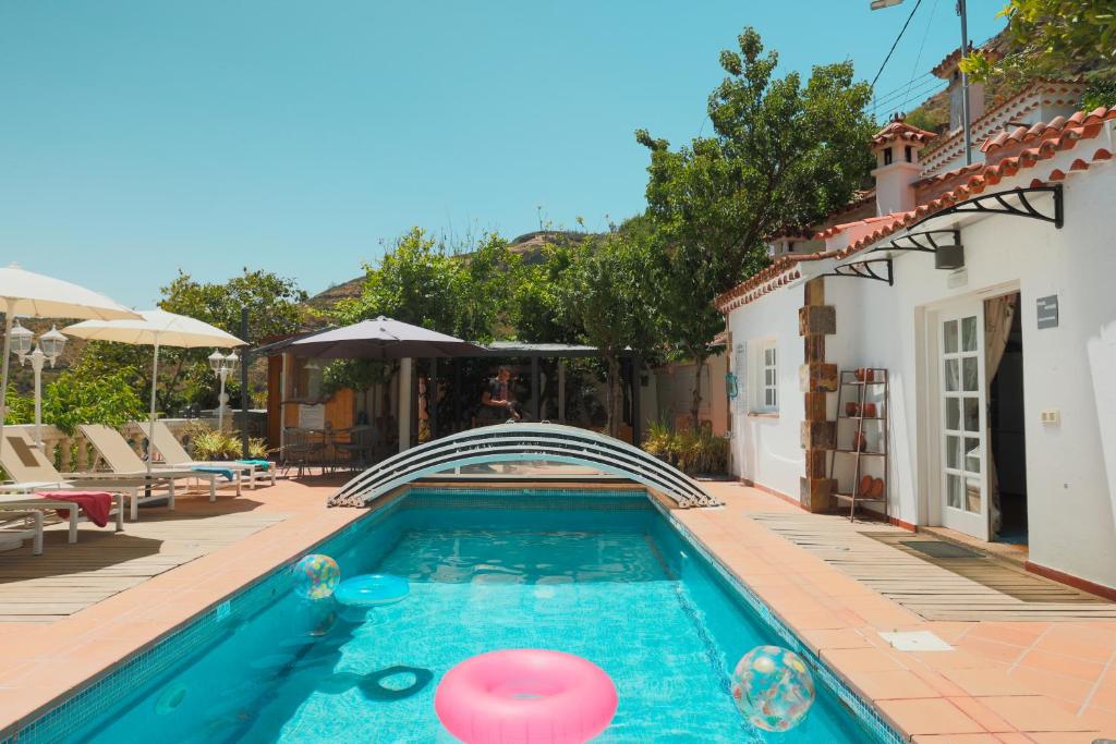 ein Schwimmbad mit einem rosa Frisbee im Wasser in der Unterkunft Pool House “El Estanco 14” in Vega de San Mateo
