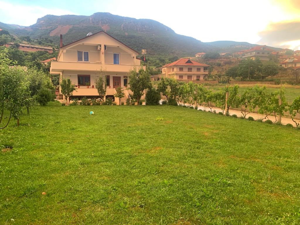 a house on a hill with a green yard at Villa Rejan in Pogradec
