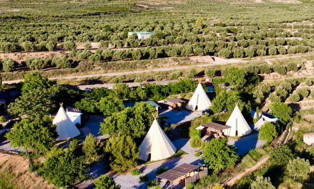 Příroda nedaleko luxury tent