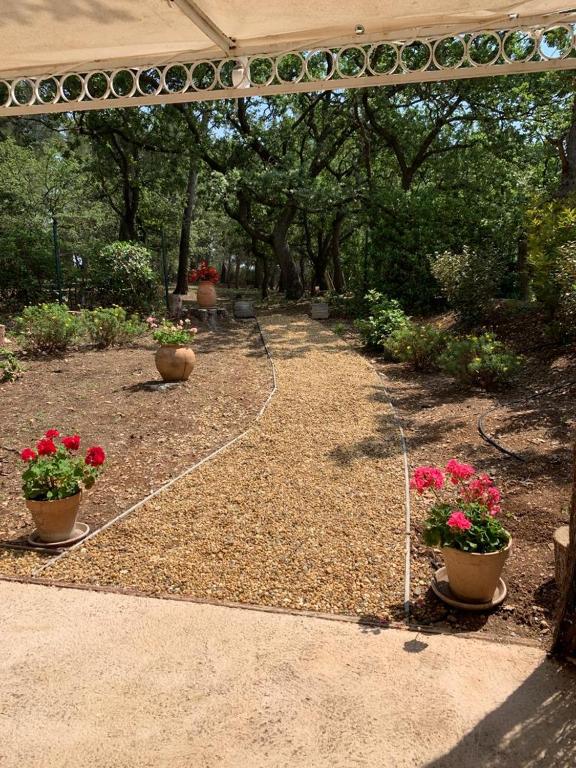 einen Garten mit drei Topfpflanzen auf dem Boden in der Unterkunft Le Petit Chene in Le Castellet