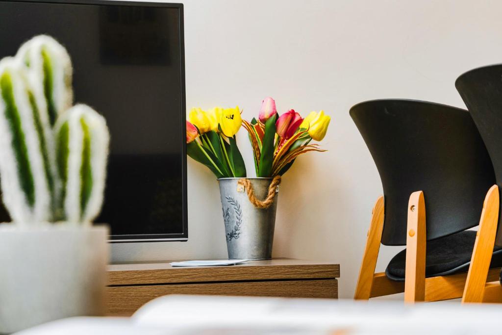 A television and/or entertainment centre at Kula apartments City center Exarchia