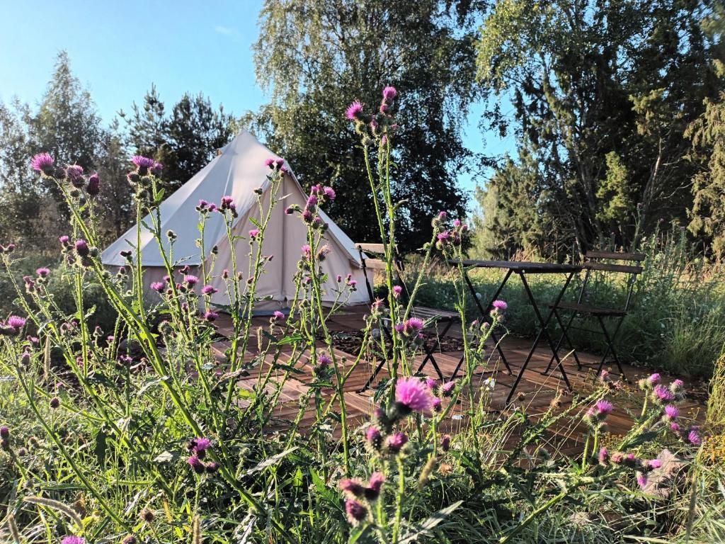 a white tent in a field of flowers at Glamping Kiveinen in Laitila