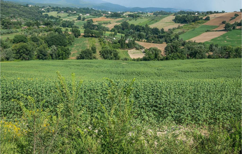 Príroda v okolí dovolenkového domu