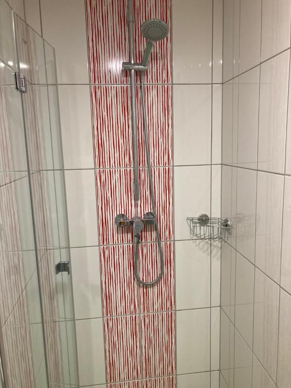 Vannituba majutusasutuses Capsule hostel Erbenova
