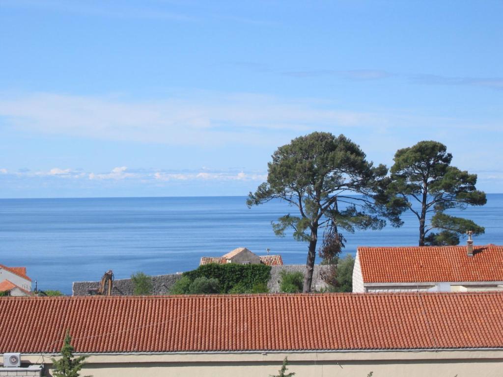 Guest House Maria Bilicic - 9