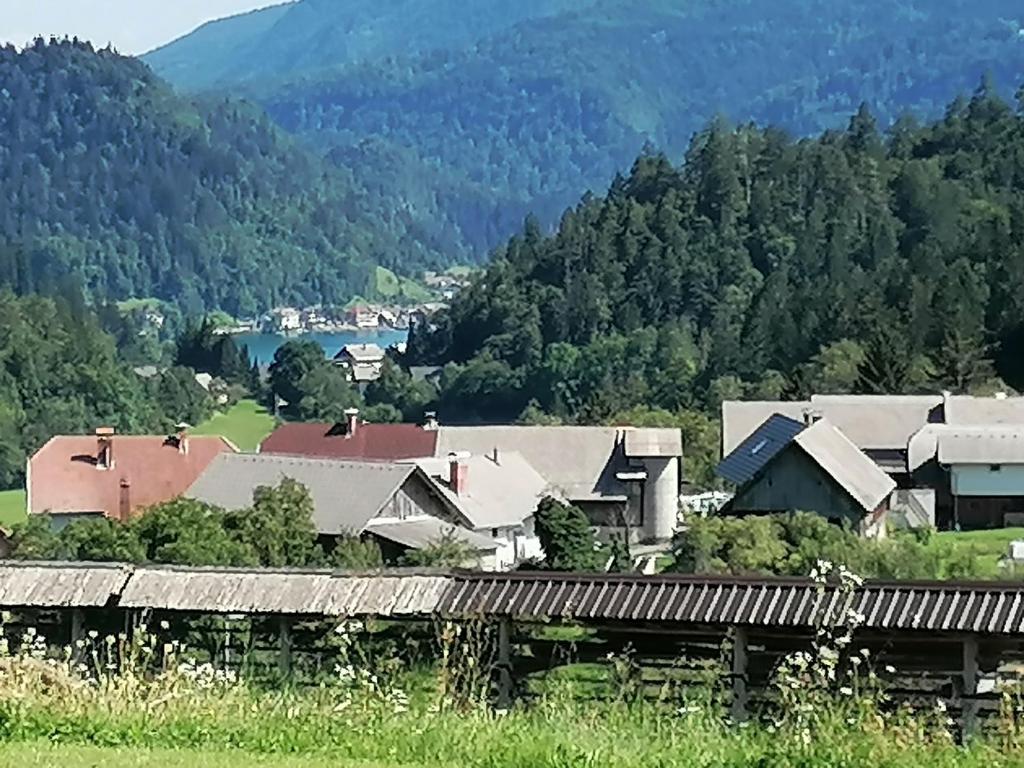 Příroda nedaleko apartmánu