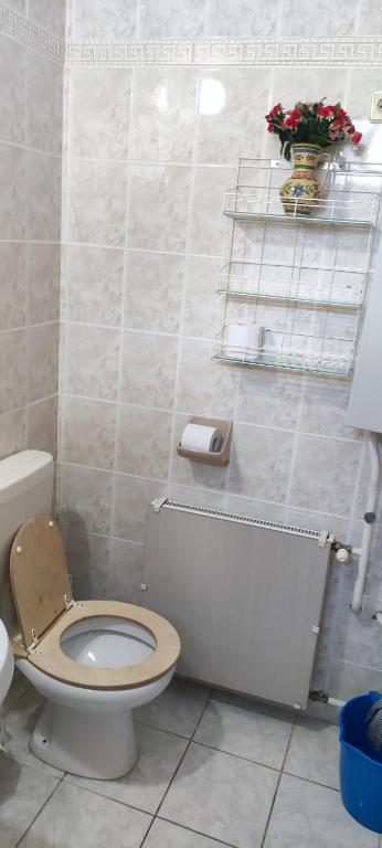 Koupelna v ubytování Fecskefészek Nyaralóház
