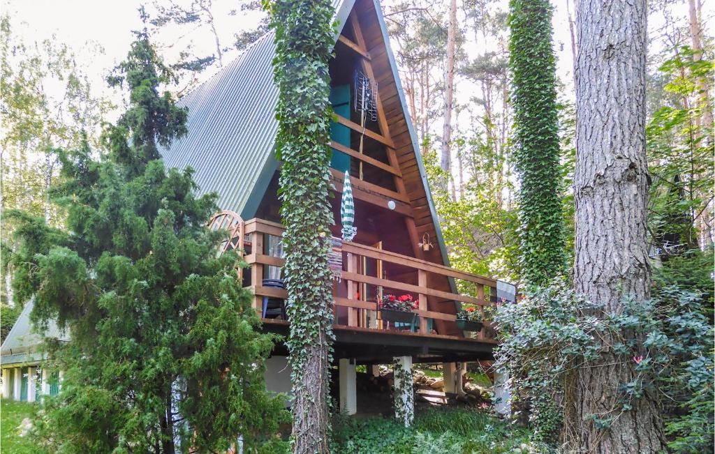 Ein Baumhaus im Wald, auf dem Efeu wächst. in der Unterkunft Lovely Home In Mragowo With Kitchenette in Kosewo