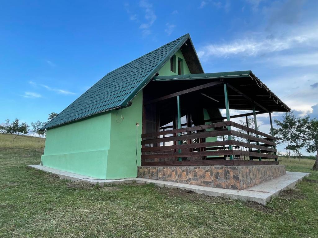 a green building with a black roof in a field at La Nuci in Valea scheilor
