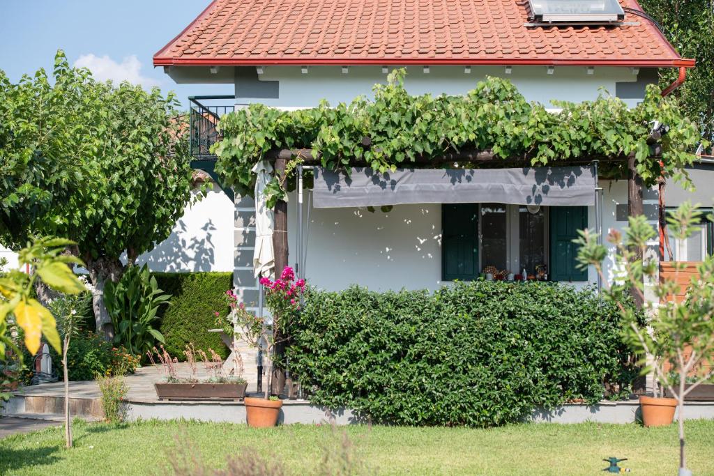 Zahrada ubytování Pratsas House