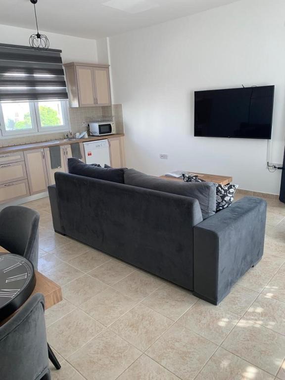 a living room with a black couch and a tv at Aphrodite Beachfront Apartment - North Cyprus in Ghaziveran