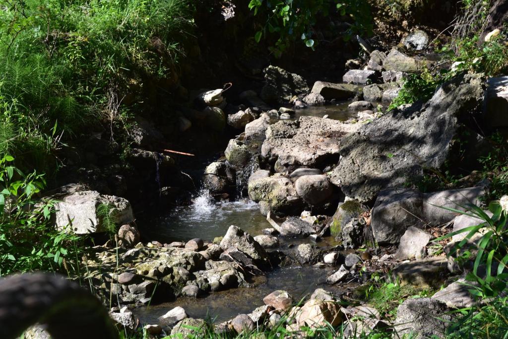 a stream of water with rocks and plants at Chateau Roquehort in Monein