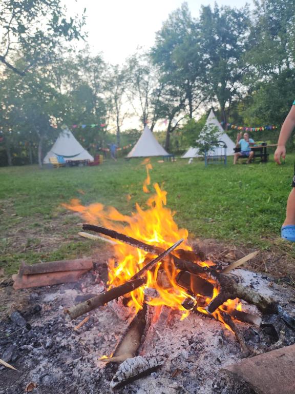 Příroda nedaleko luxury tent