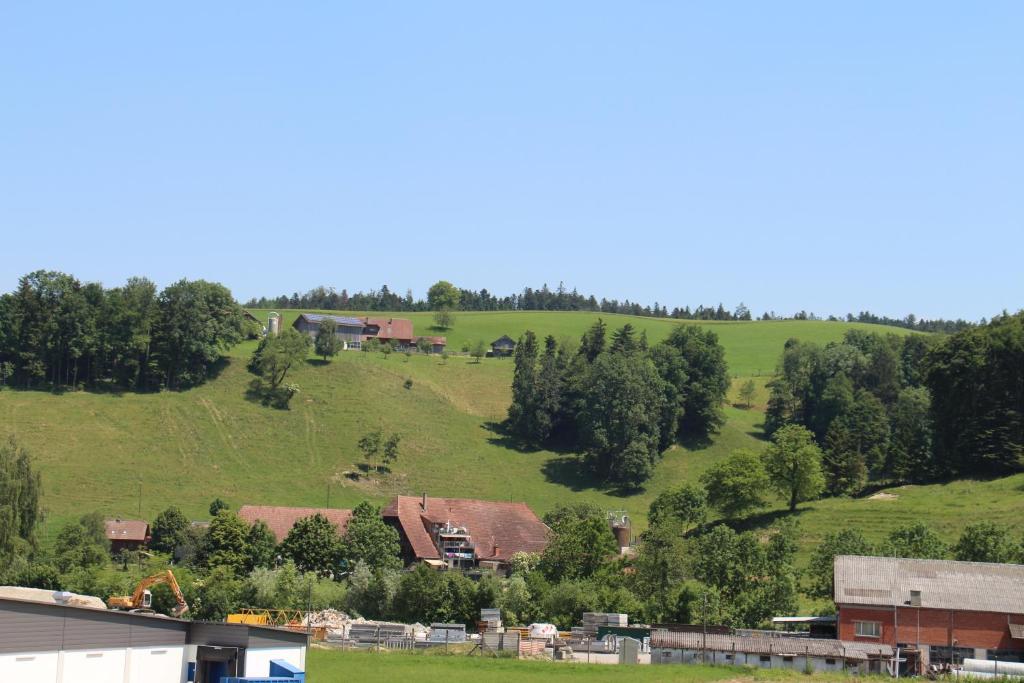 Příroda nedaleko hotelu