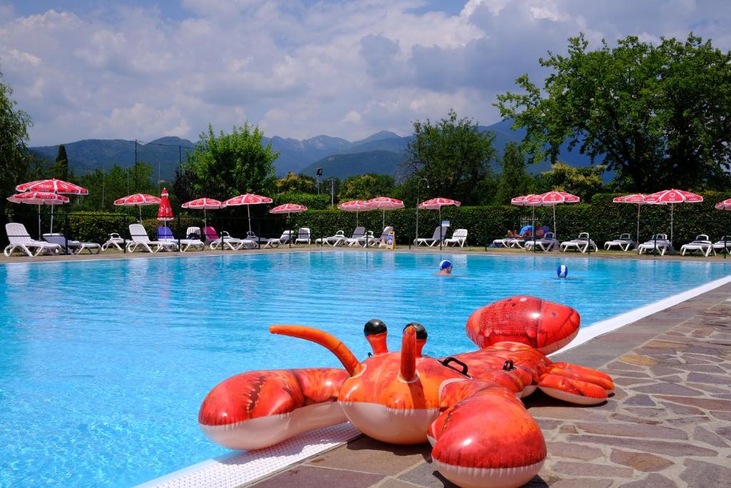 Het zwembad bij of vlak bij Fornella Camping & Wellness family resort