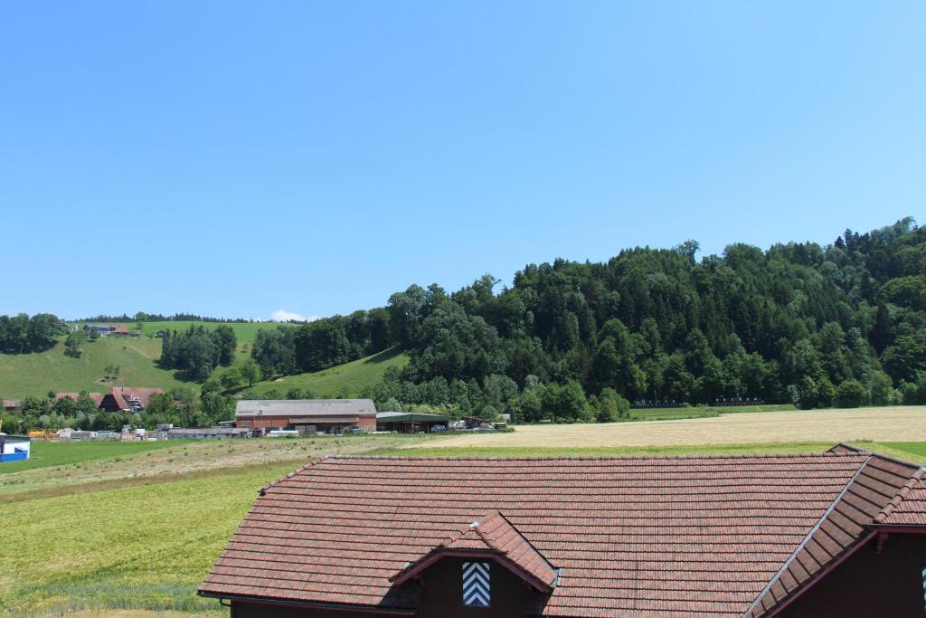 Příroda nedaleko hotelu