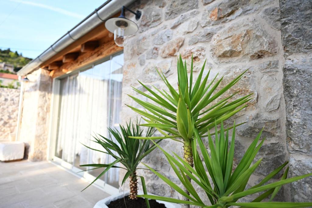 Fotografie z fotogalerie ubytování Villa Teza Hvar v destinaci Hvar
